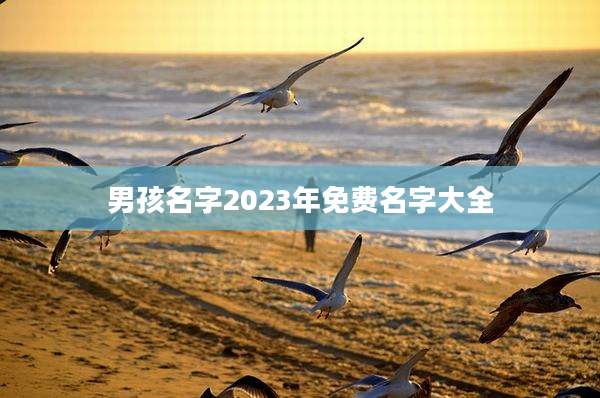 男孩名字2023年免费名字大全