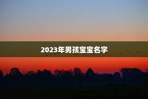2023年男孩宝宝名字