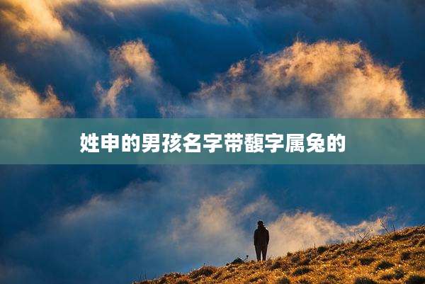 姓申的男孩名字带馥字属兔的
