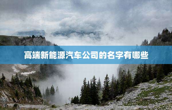 高端新能源汽车公司的名字有哪些