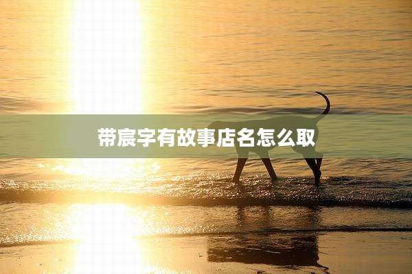 带宸字有故事店名怎么取