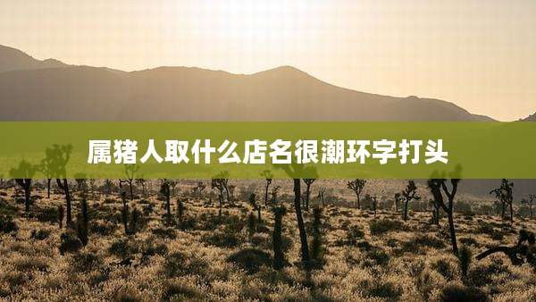 属猪人取什么店名很潮环字打头