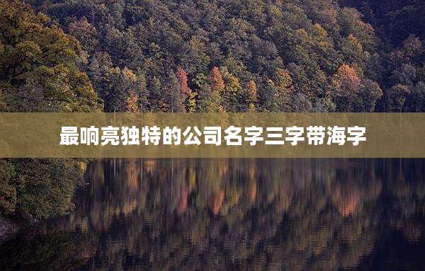 最响亮独特的公司名字三字带海字