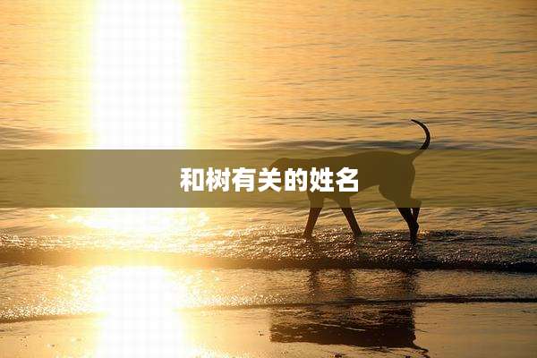 和树有关的姓名