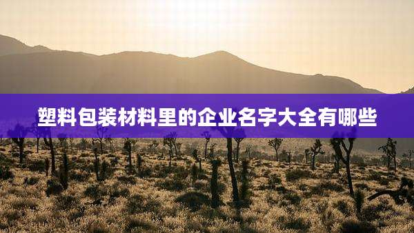 塑料包装材料里的企业名字大全有哪些