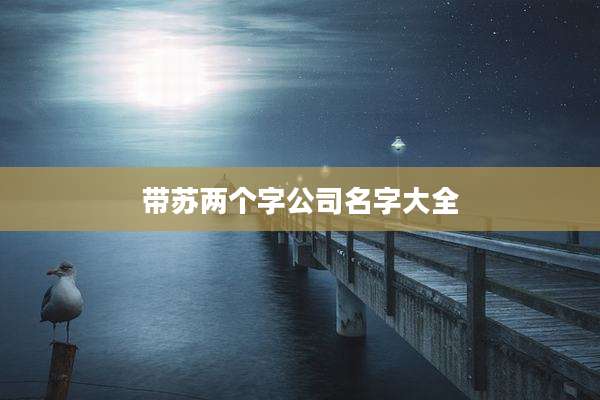 带苏两个字公司名字大全