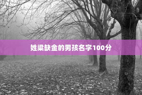 姓粱缺金的男孩名字100分
