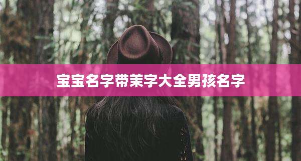 宝宝名字带茉字大全男孩名字