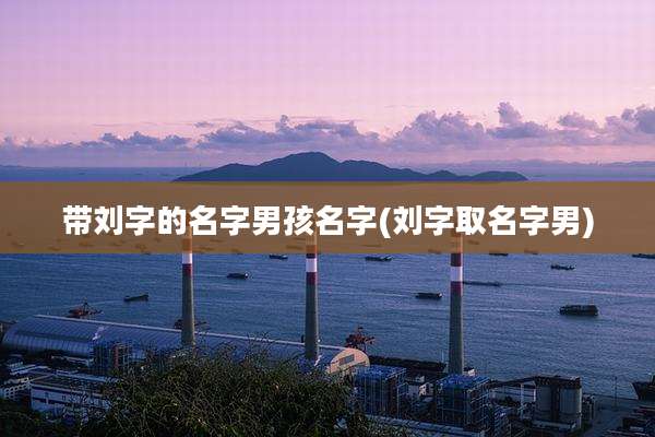 带刘字的名字男孩名字(刘字取名字男)