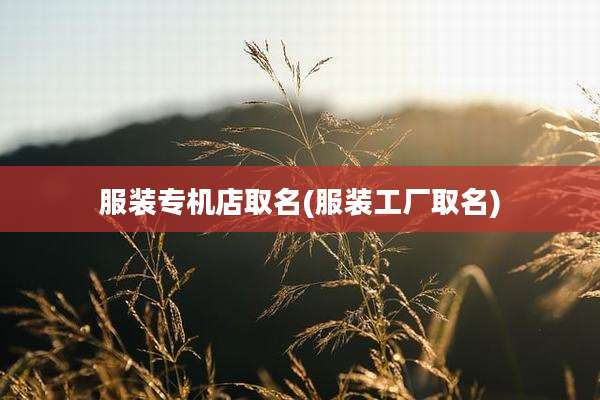 服装专机店取名(服装工厂取名)