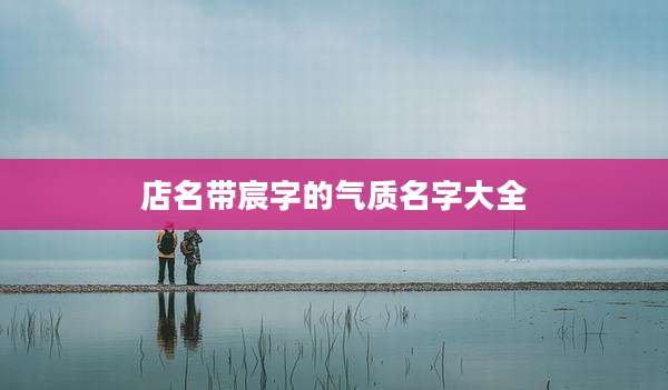 店名带宸字的气质名字大全