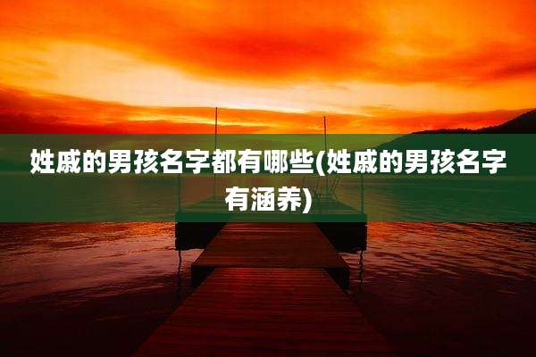 姓戚的男孩名字都有哪些(姓戚的男孩名字有涵养)