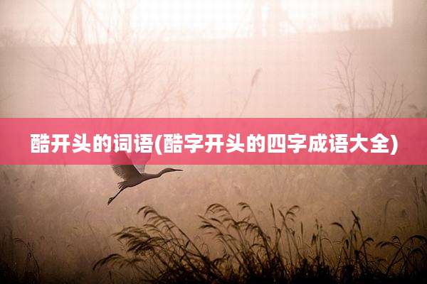 酷开头的词语(酷字开头的四字成语大全)