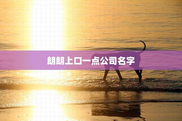 朗朗上口一点公司名字