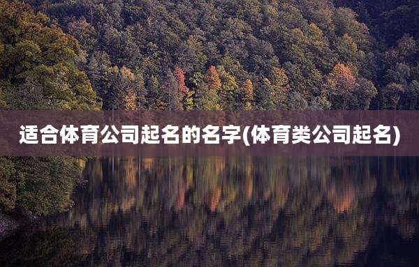 适合体育公司起名的名字(体育类公司起名)