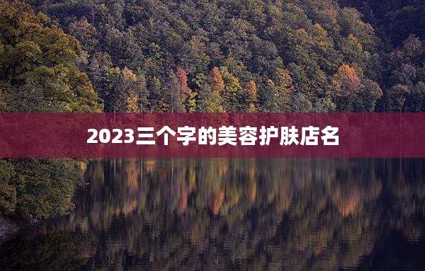 2023三个字的美容护肤店名
