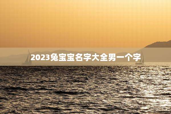 2023兔宝宝名字大全男一个字
