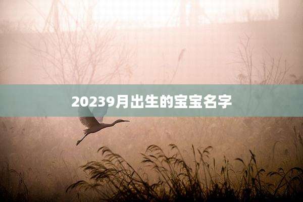 20239月出生的宝宝名字