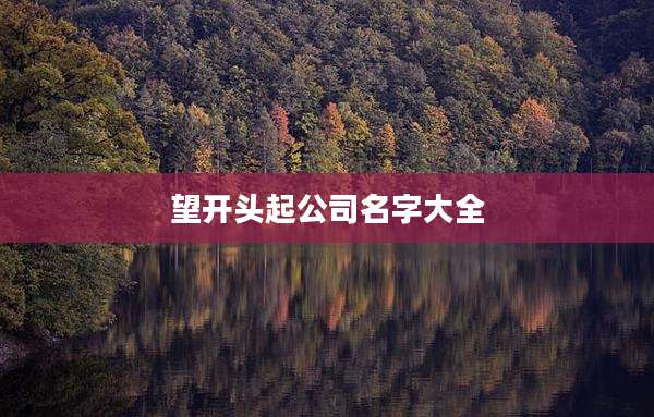 望开头起公司名字大全