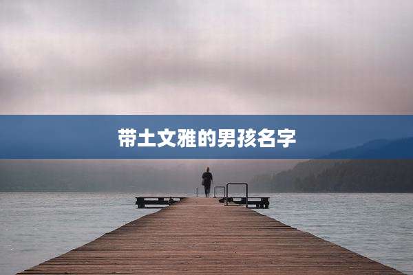 带土文雅的男孩名字