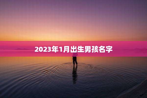 2023年1月出生男孩名字