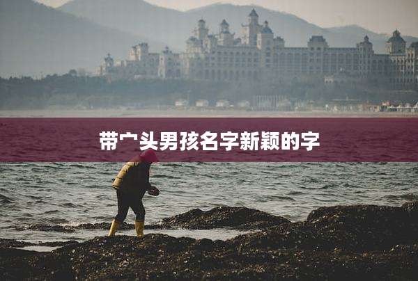带宀头男孩名字新颖的字