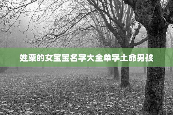 姓粟的女宝宝名字大全单字土命男孩