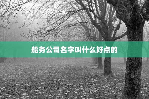 船务公司名字叫什么好点的