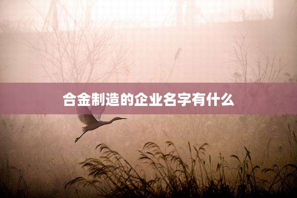 合金制造的企业名字有什么