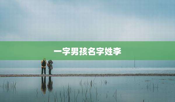 一字男孩名字姓李