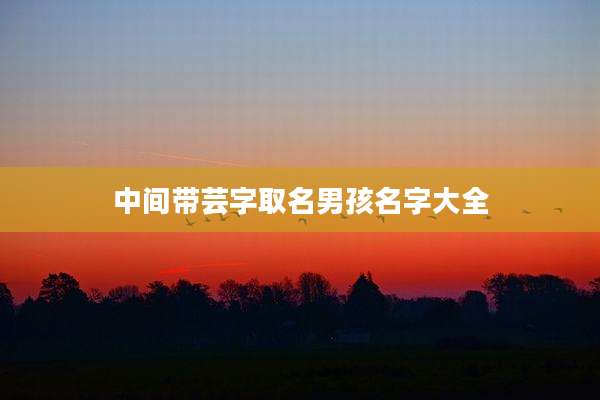 中间带芸字取名男孩名字大全