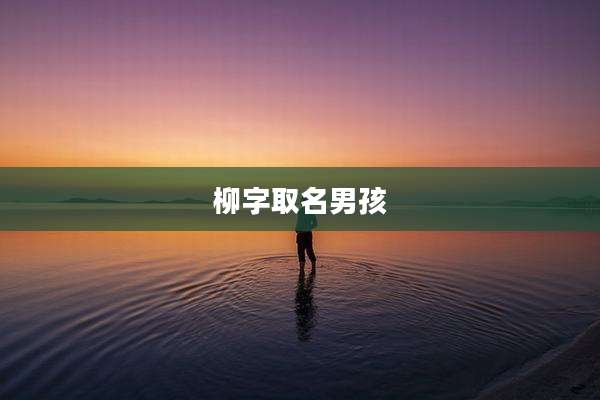 柳字取名男孩
