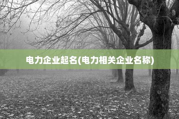 电力企业起名(电力相关企业名称)