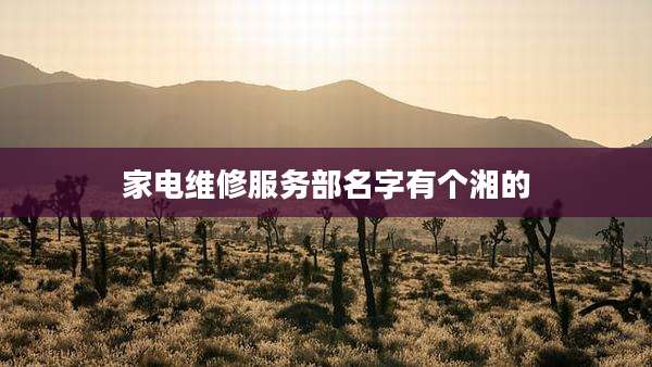 家电维修服务部名字有个湘的
