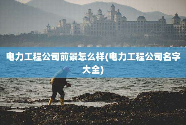 电力工程公司前景怎么样(电力工程公司名字大全)