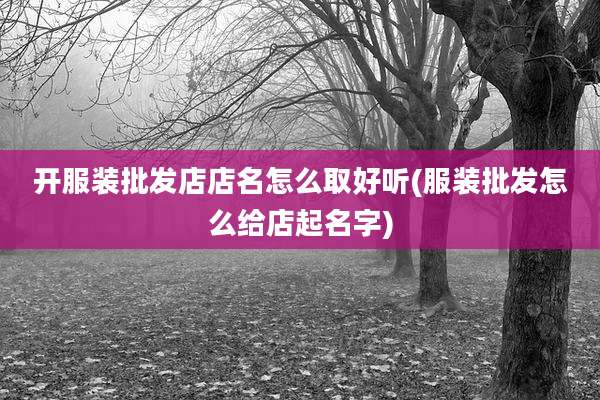 开服装批发店店名怎么取好听(服装批发怎么给店起名字)