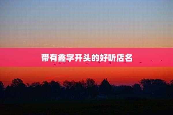 带有鑫字开头的好听店名