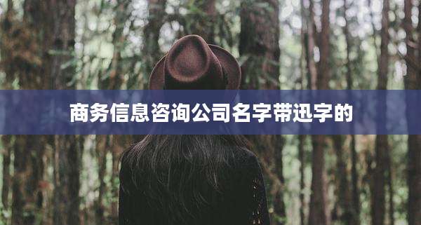 商务信息咨询公司名字带迅字的