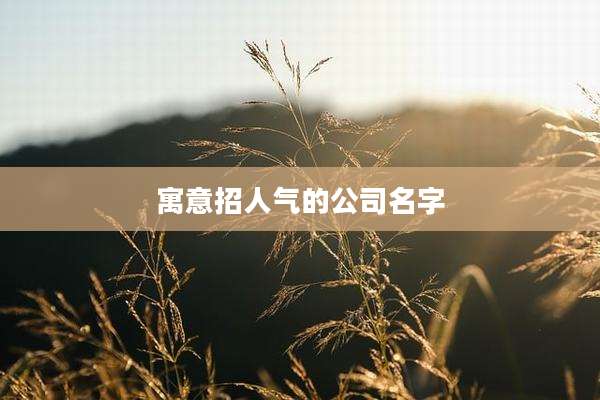 寓意招人气的公司名字
