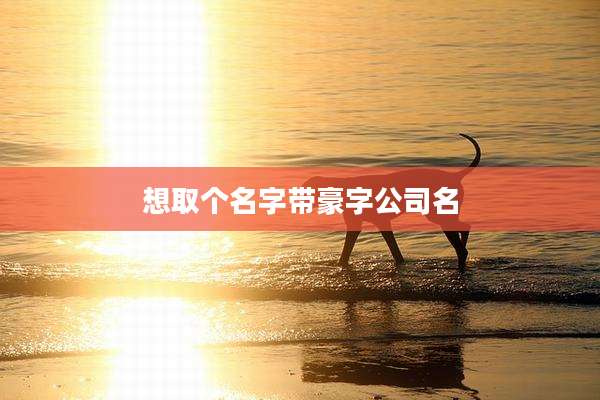 想取个名字带豪字公司名