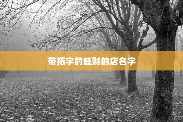 带拓字的旺财的店名字
