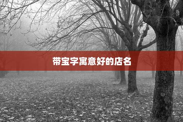 带宝字寓意好的店名