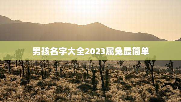男孩名字大全2023属兔最简单