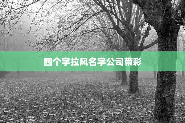 四个字拉风名字公司带彩