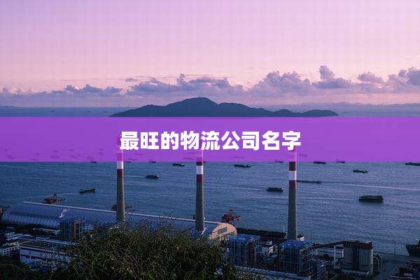 最旺的物流公司名字