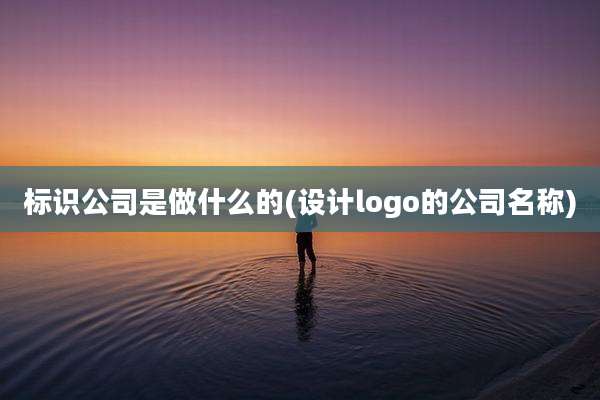 标识公司是做什么的(设计logo的公司名称)