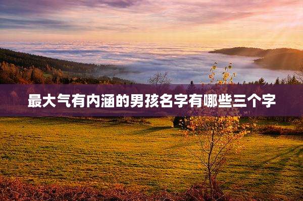最大气有内涵的男孩名字有哪些三个字