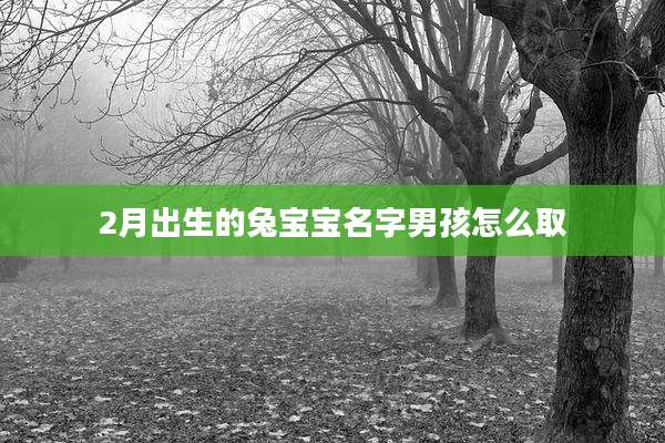 2月出生的兔宝宝名字男孩怎么取