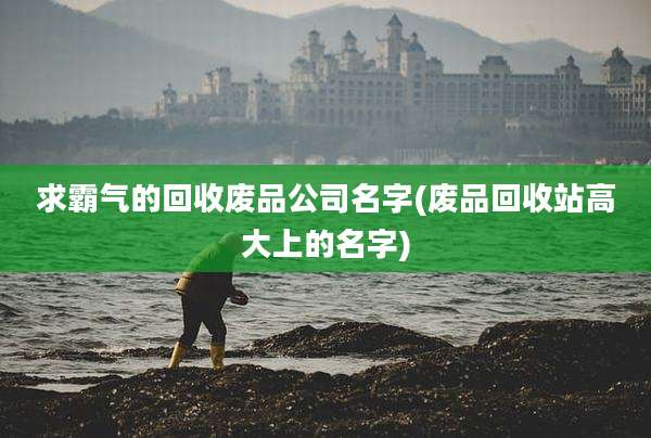 求霸气的回收废品公司名字(废品回收站高大上的名字)