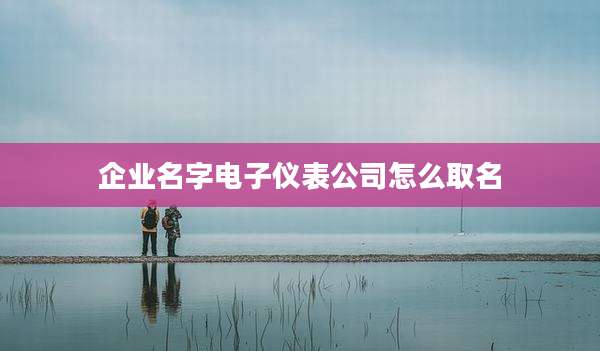 企业名字电子仪表公司怎么取名
